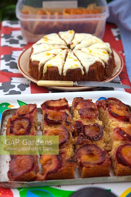 Gâteau aux prunes et au gingembre - premier plan - avec un gâteau aux carottes derrière - préparé pour les journées portes ouvertes du National Gardens Scheme