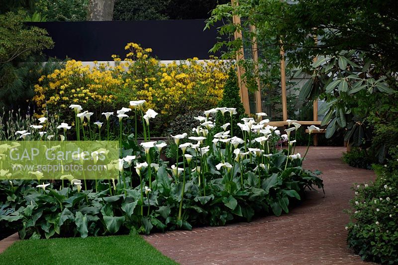East Village Garden, Exposant: Delancey, Designer: Michael Balston et Marie-Louise Agius Médaille d'or