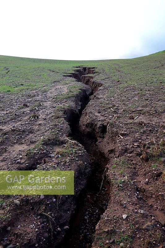 Forte érosion du sol dans le Devon UK - 4 février 2014 sur un terrain escarpé avec une mauvaise mise en place des cultures avant de fortes pluies hivernales - des ravins de plus de 150 cm