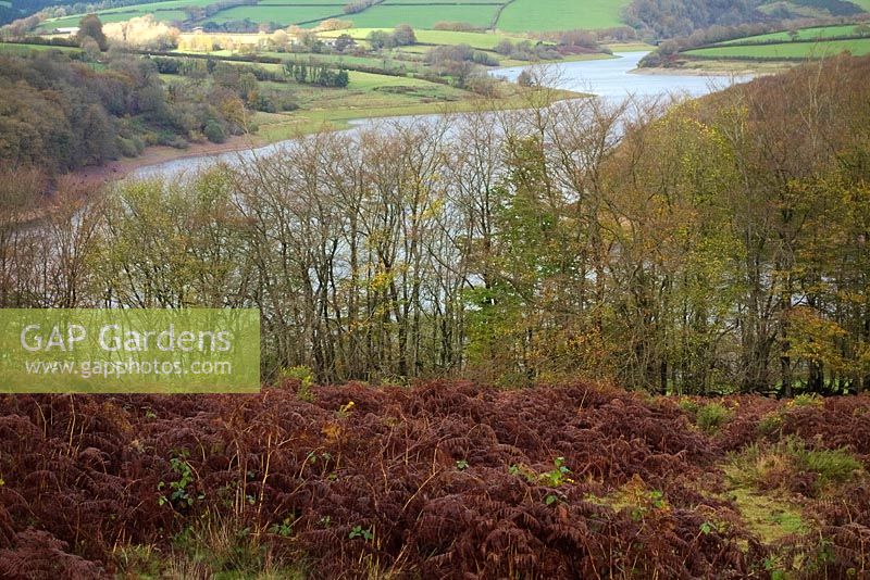 Réservoir de Wimbleball sur Exmoor en automne