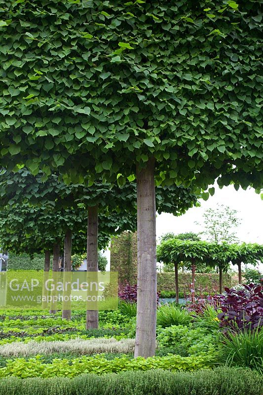 Le B and Q Garden conçu par Laurie Chetwood et Patrick Collins au RHS Chelsea Flower Show 2011