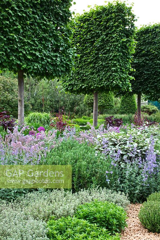 Le B and Q Garden conçu par Laurie Chetwood et Patrick Collins au RHS Chelsea Flower Show 2011
