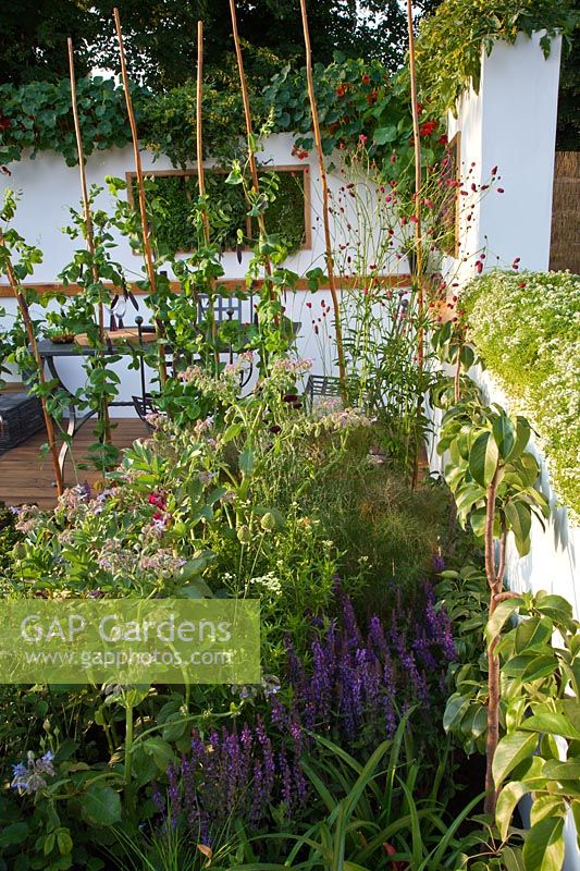 'The Potential Feast 'jardin comestible conçu par Raine Clarke-Wills et Fiona Godman-Dorington, RHS Hampton Court Flower Show 2011