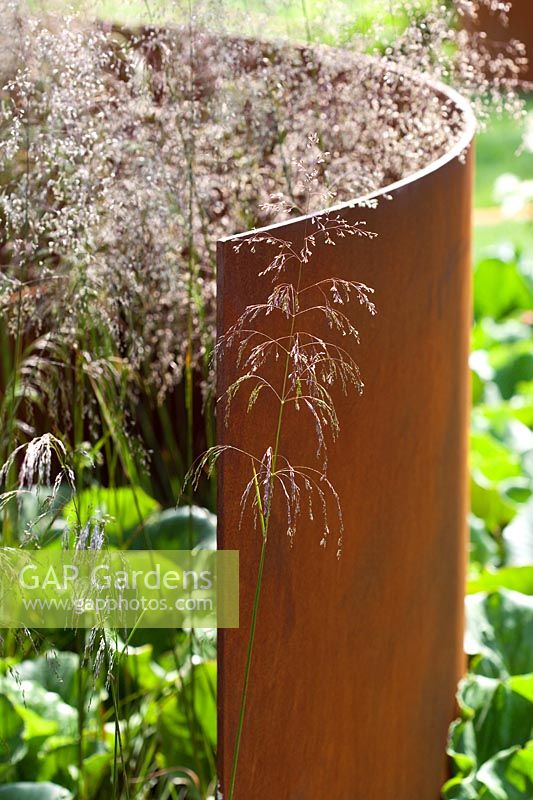 Jardin contemporain avec panneau courbé en acier corten rouillé et herbes Deschampsia cespitosa 'Bronzeschleier' RHS Hampton Court