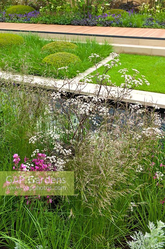 Anthriscus sylvestris 'Ravenswing', Silene dioica, Deschampsia cespitosa 'Pixie Fountain '. RHS Chelsea Flower Show