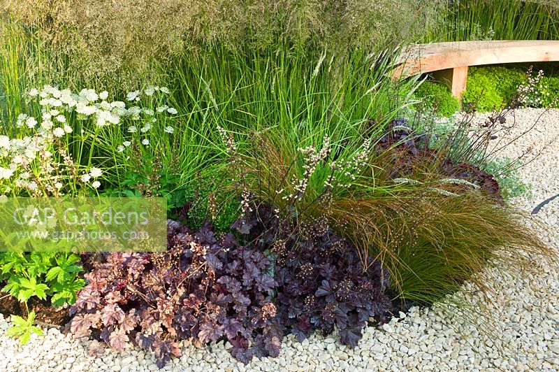 Un petit parterre de jardin d'été circulaire avec Astrantia 'Shaggy', Deschampsia, Heuchera 'Palace Purple', Erigeron karvinskianus