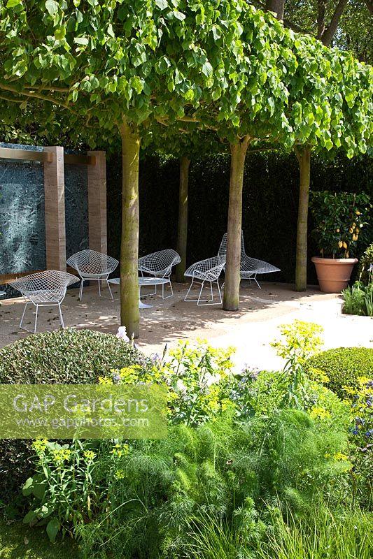 Auvent de Tilia x europaea 'Pallida' - Des tilleuls ombragent un coin salon dans un jardin contemporain