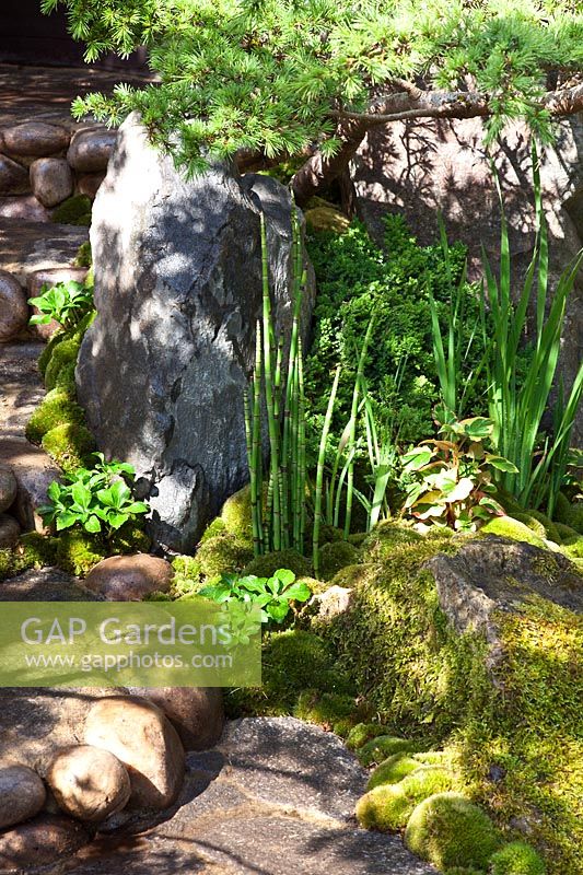 Détail de pierres avec mousse et feuillage dans un jardin de style japonais