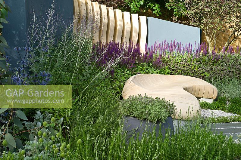 Jardin urbain contemporain avec clôture mixte et assise en bois de forme organique. Designer Rae Wilkinson