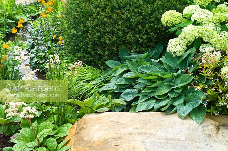 Un jardin avec un feuillage vert luxuriant plantant à côté d'un petit ruisseau, et une grande pierre comme caractéristique