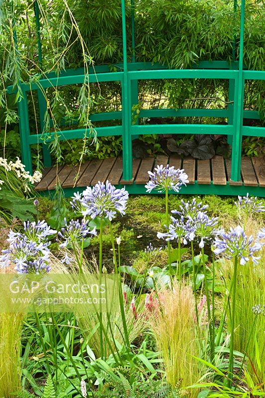 Un petit jardin dans le style du jardin de Monet à Giverny avec étang, pont et Agapanthe. Exposition florale de RHS Hampton Court.