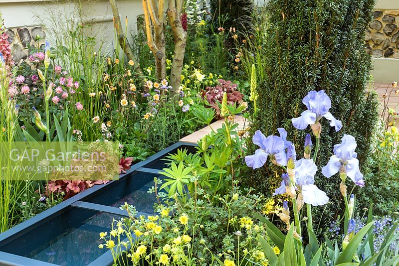 Pro Corda Trust - Un jardin du Suffolk Retreat au RHS Chelsea Flower Show 2016. Designer: Frederic Whyte. Crédit © Rob Whitworth