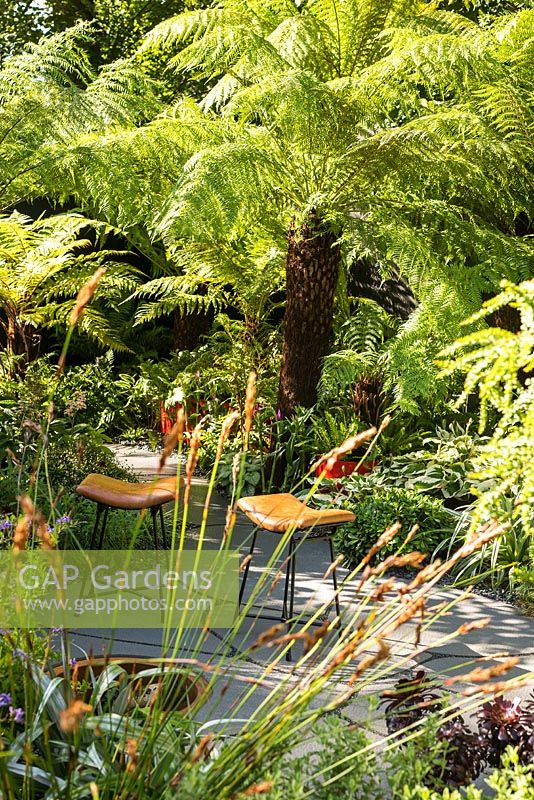 Dicksonia et Restio dans un petit jardin urbain avec une plantation et des sièges exotiques rustiques. RHS Hampton Court Flower Designers Andrew Fisher Tomlin, Da