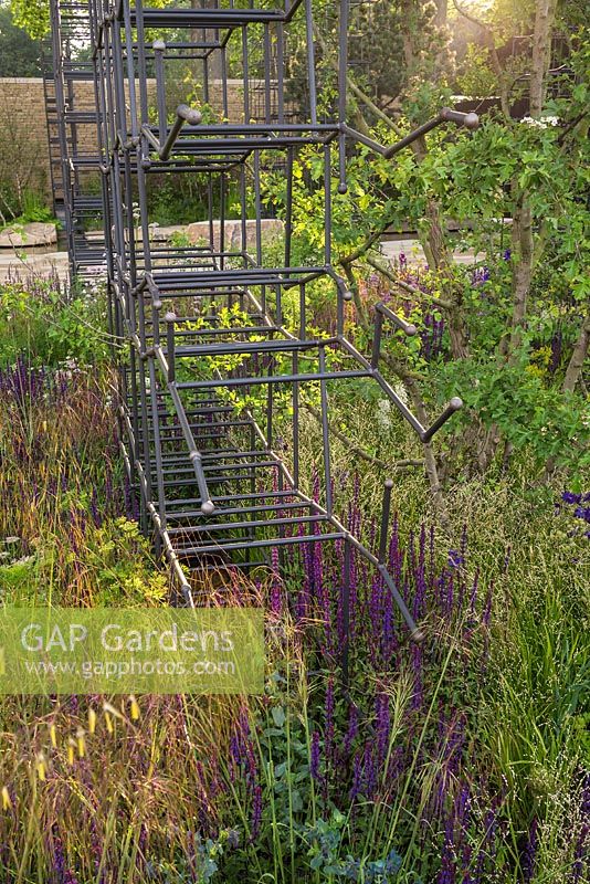 Le jardin Breaking Ground au RHS Chelsea Flower Show 2017. Parrain: Darwin Property Investment Management Ltd. Concepteurs: Andrew Wilson et Gavin
