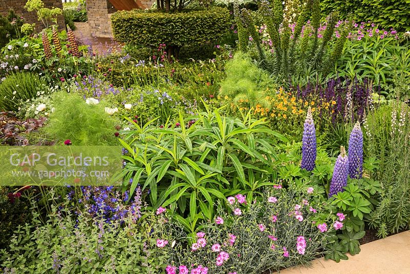 Le jardin Morgan Stanley au RHS Chelsea Flower Show 2017. Parrain: Morgan Stanley. Concepteur: Chris Beardshaw. Décerné une médaille d'argent doré. Leur