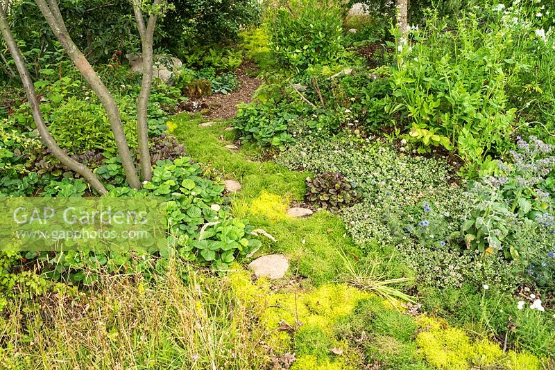 Le jardin des clairières de Londres au RHS Hampton Court Flower Show 2017. Concepteurs: Andreas Christodoulou et Jonathan Davies. Décerné une médaille d'or.