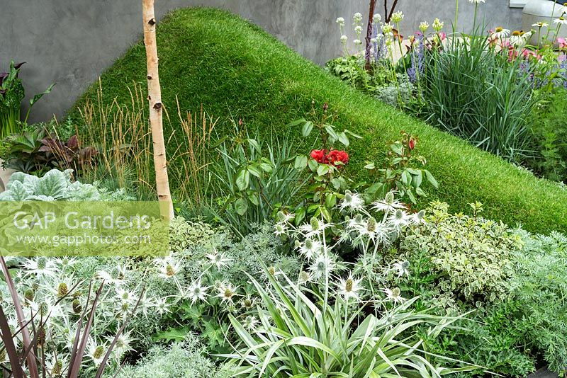 The On the Edge: The Center for Mental Health Garden at the RHS Hampton Court Flower Show 2017. Designer: Frédéric Whyte. Commanditaires: Benton Landscapes,