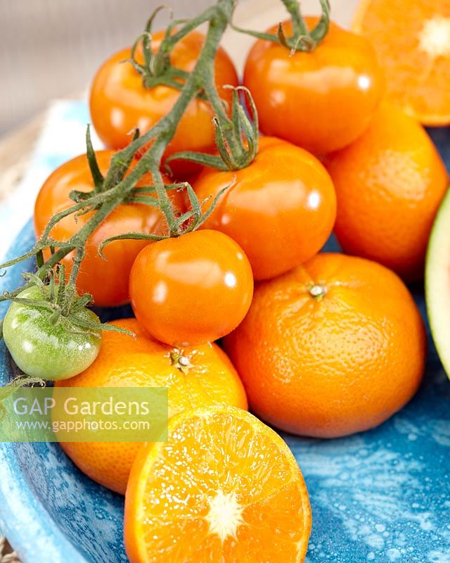 Solanum lycopersicum Tutti-Frutti Mandarin F1