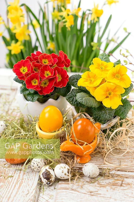 Décoration de Pâques dans les tons de couleur jaune, rouge et orange