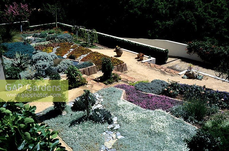 Jardin contemporain utilisant des succulentes modèles de plantation tolérants à la sécheresse Valentine Garden California conçu par Isabelle Greene