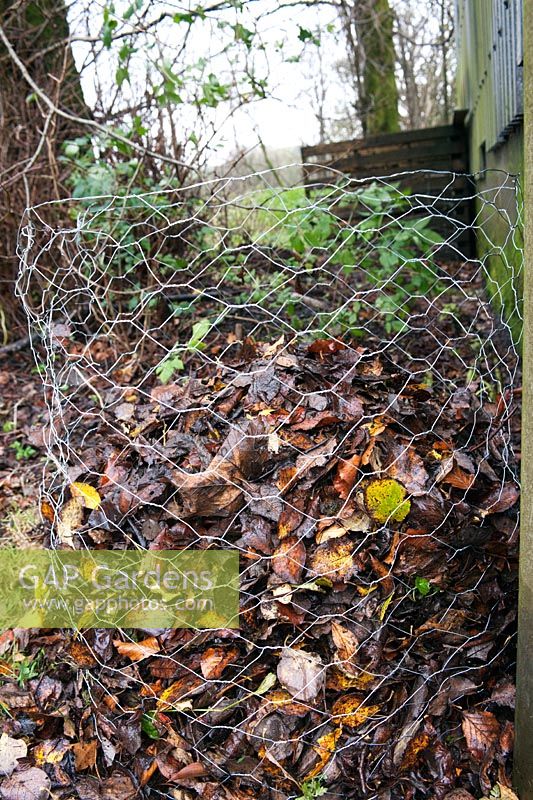 Remplissage d'une cage de compostage en treillis métallique avec les feuilles collectées en automne