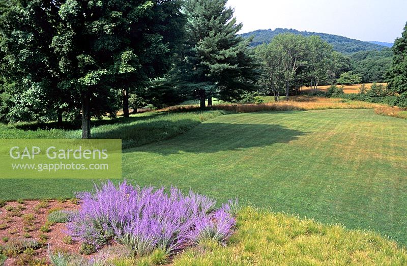 Mélange de pelouse dans les pâturages de prairie naturelle Schupf Garden New York State Design par Oehme Van Suède