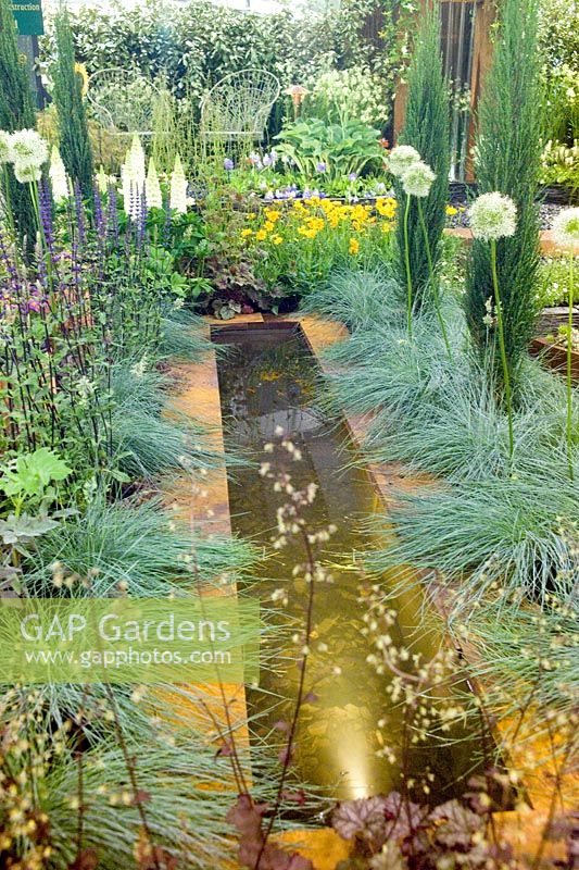 Rill avec plantation Hosta Vista Design par Binny Plants Landmarkers Andrea Geile Gold Medal Gardening Scotland 2007