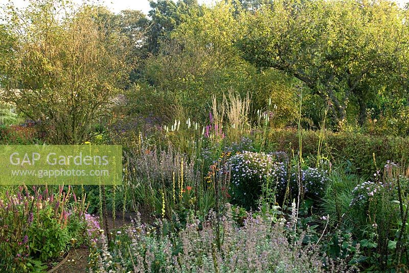 Cambo Walled Garden potager ornemental, Fife, Scotland, UK orchard, fleur, automne, plantation de dérive