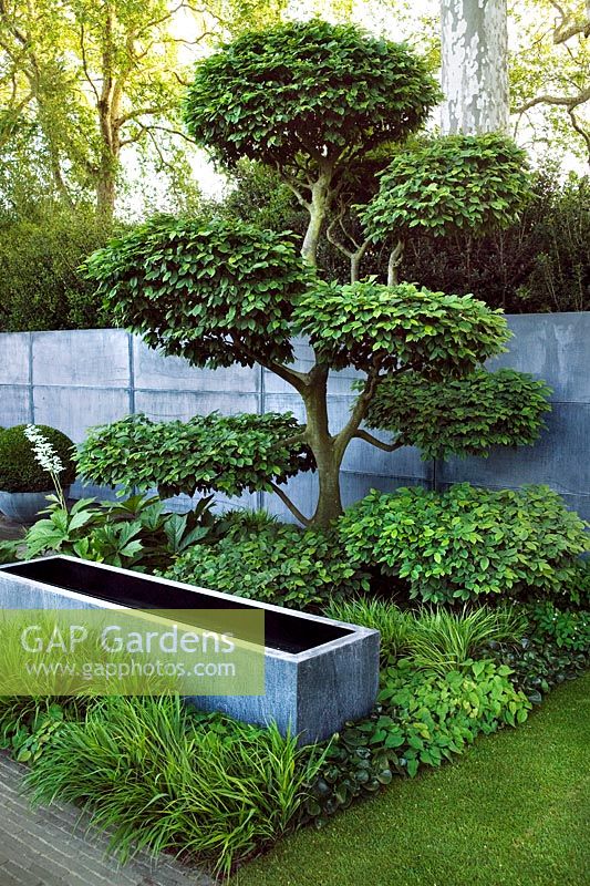 Laurent Perrier Chelsea Tom Stuart Smith 2008 show garden with paving, cloud taillé en nuage, réservoirs d'eau en zinc
