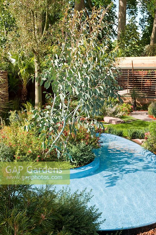 Le Trailfinders Australian Garden présenté par Fleming's Nurseries et conçu par Ian Barker au RHS Chelsea Flower Show 2011