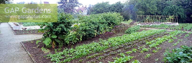 Le jardin potager clos de deux hectares du restaurant de l'hôtel Le Manoir aux Quat Saisons de Raymond Blanc OBE