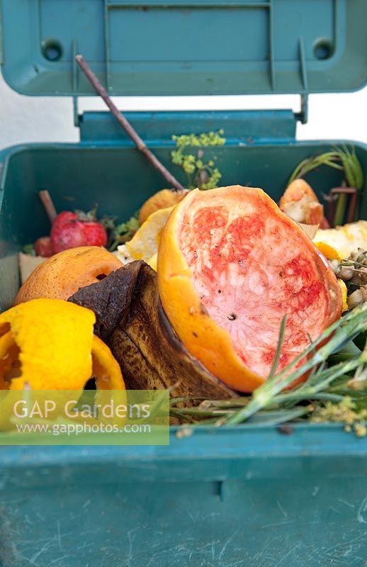 Bac à compost avec écorces d'orange et peaux de pamplemousse