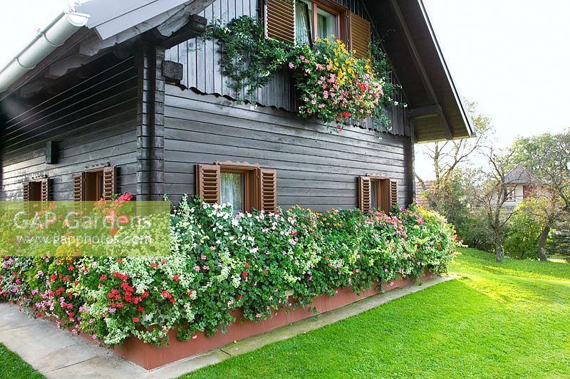 Maison de ferme, jardinière et jardinière avec fleurs d'été