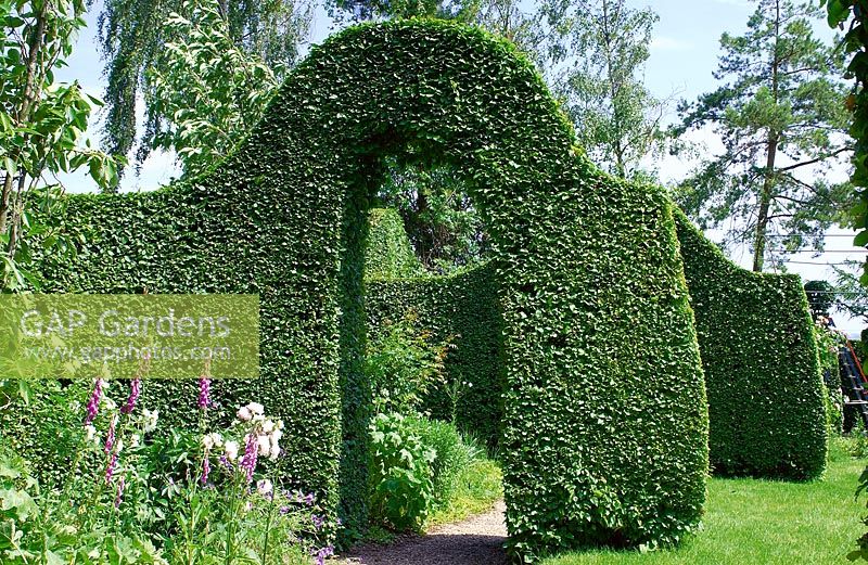 Französischer Garten / Hecken Formschnitt