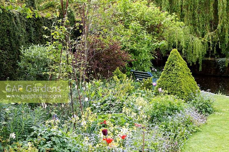 Mill Dene Garden, Blockley, Gloucestershire, topiaire croissant dans les parterres de fleurs au début de l'été