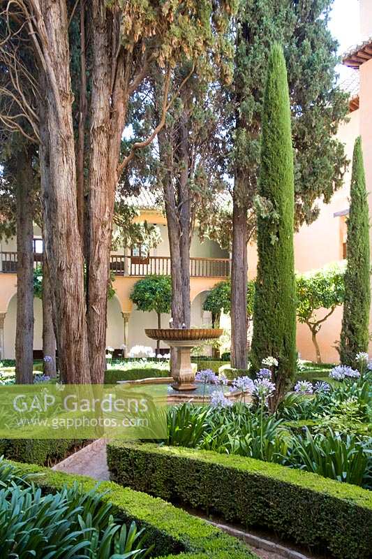 Palais de l'Alhambra, Grenade, Espagne, jardins de la cour avec couverture et grands palmiers