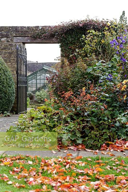 Bourton House Garden, parterre d'automne avec porte d'accès au potager