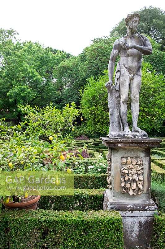Parterre avec citronniers en pots et statues dans le jardin du Palazzo Corsini, à Florence, Italie