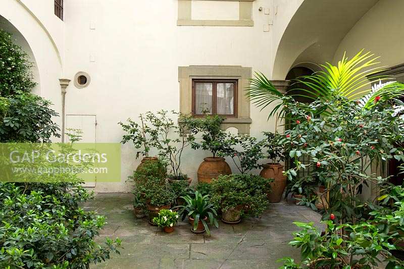 Petit jardin de la cour avec des pots à Florence, Italie