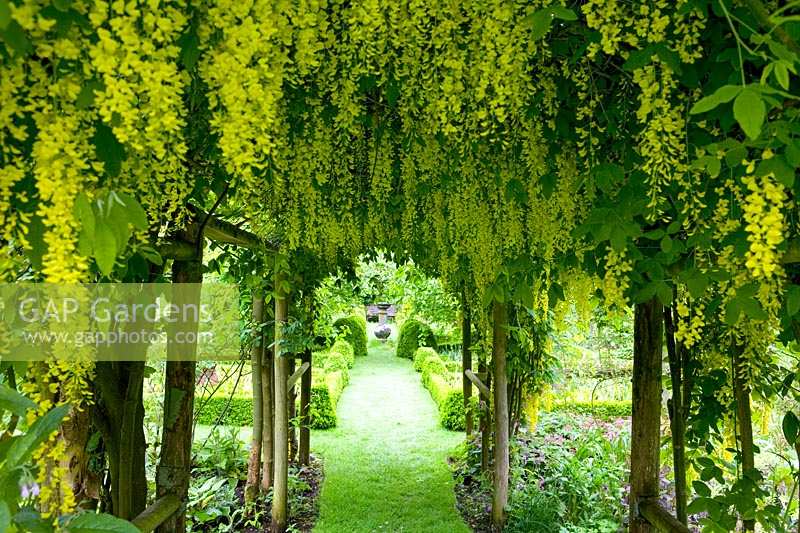 Cerney House Gardens, Gloucestershire, Royaume-Uni. (Sir Michael et Lady Angus) vue jusqu'au cadran solaire avec tunnel Laburnum