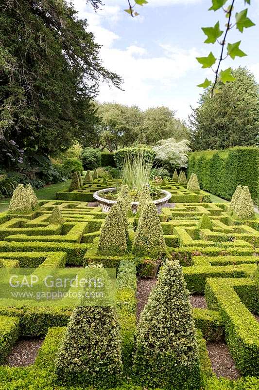 Bourton House Garden, Gloucestershire. Mi-été. Le jardin à nœuds formel