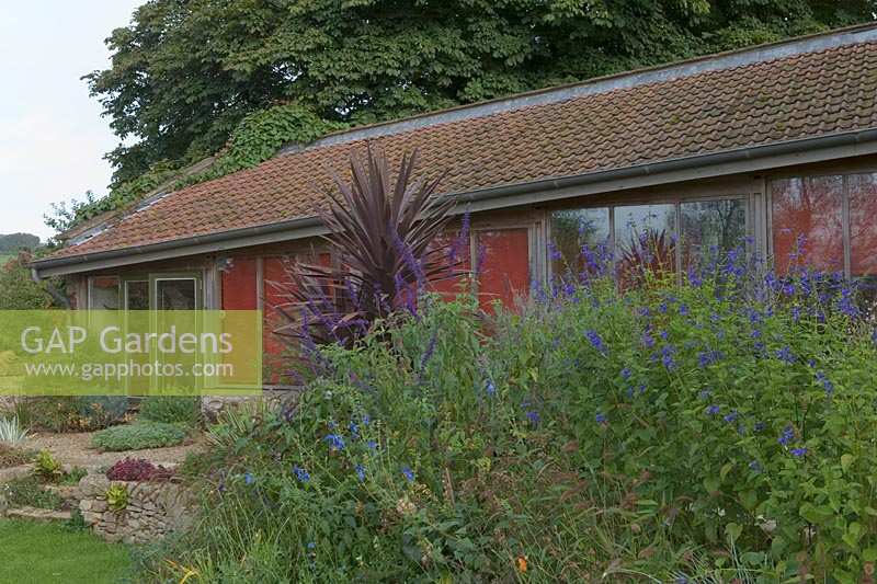 Plantes spéciales (jardin de Derry Watkin), Bath, Royaume-Uni. Fin de l'été, grange conçue par un architecte dans les collines du Somerset