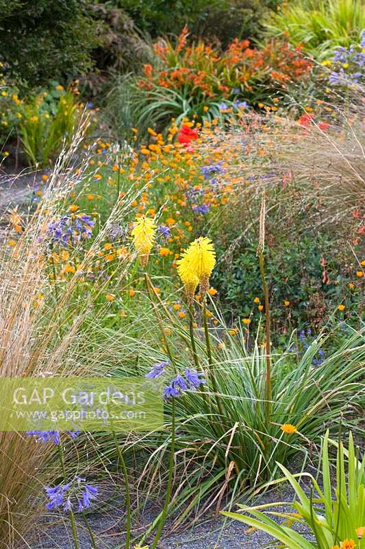 La Garden House, Devon, Royaume-Uni. Jardin 'L'Afrique du Sud' avec des herbes et des plantations de style naturaliste