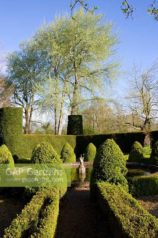 Cothay Manor Garden (Somerset) au printemps (Robb) Topiaire d'if et de troène autour d'un étang formel, (PR disponible)