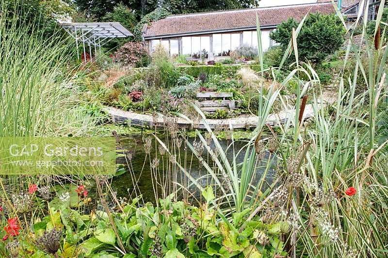 Derry Watkins Garden at Special Plants, Bath, UK étang de taille moyenne bien approvisionné