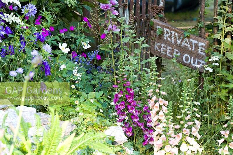 Hampton Court Flower Show 2014, le Jardin de la Folie Oubliée, des. Conception horticole. Jardin naturel surpuissant, respectueux de la faune et rempli de fleurs indigènes