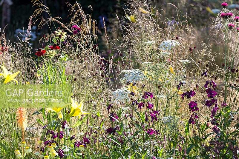 Hampton Court Flower Show 2014, le Jordans Garden, des. Selina Botham. banc de paille parmi les graminées et les vivaces naturalistes