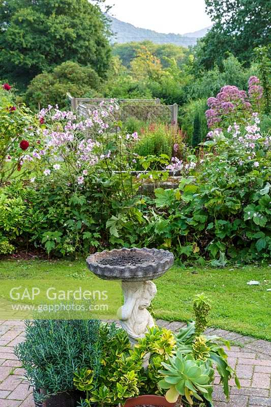 Le jardin de Jackie Healy près de Chepstow. Jardin au début de l'automne. Bain d'oiseaux et plantes en pot