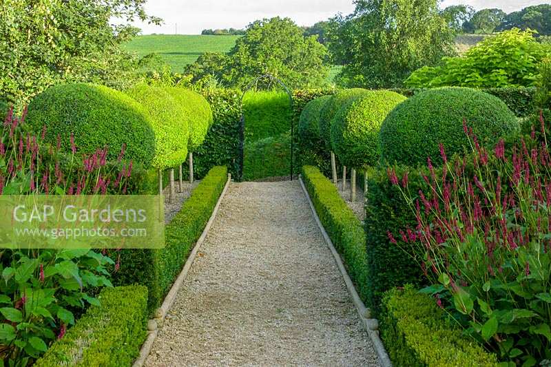 Lady Farm, Somerset, Royaume-Uni (Judy Pearce, Mary Payne) petit jardin topiaire circulaire avec couverture formelle autour de la plantation pérenne informelle