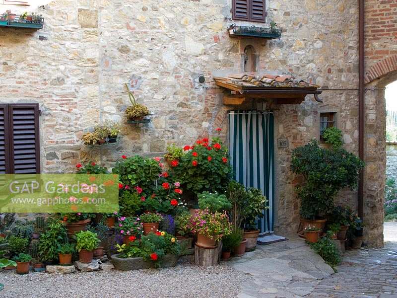 Plantes en pot à l'extérieur de la maison de village, Montefioralle, Toscane, Italie